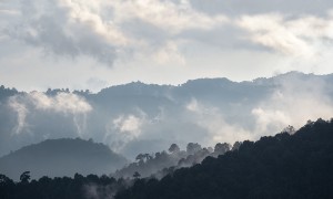 娇兰携手法国导演吕克·雅克(LUC JACQUET) 呈献纪录短片《非凡万代兰》